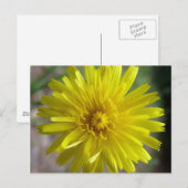 Sunburst Dew Briefkaart (Voorkant / Achterkant)