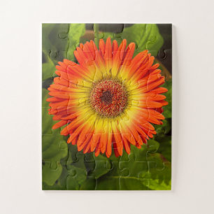 Sunburst Gerbera   Huldiging aan Alzheimer Legpuzzel