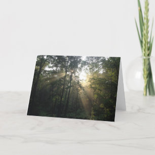 Sunburst in de Trees All Occasion Card (Blank) Feestdagen Kaart