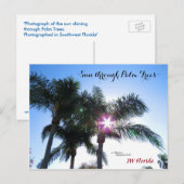 Sunburst zon Palmbomen Florida Briefkaart (Voorkant / Achterkant)