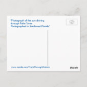Sunburst zon Palmbomen Florida Briefkaart (Achterkant)