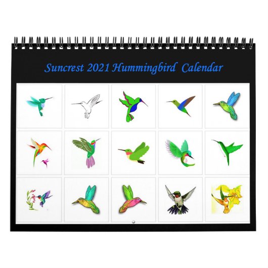 Suncrest 2021 Hummingbird Calendar Kalender (Hoes)