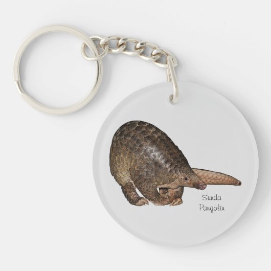 Sunda Pangolin AcrylSleutelhanger Sleutelhanger (Voorkant)
