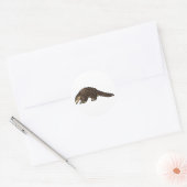 Sunda Pangolin Ronde Sticker (Envelop)