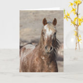 Sundance - Carte de voeux "Galloping to Freedom" (Fleur jaune)