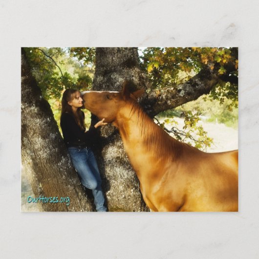 Sundance whisper briefkaart (Voorkant)