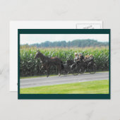 ~ Sunday 12 3 ~ Briefkaart (Voorkant / Achterkant)