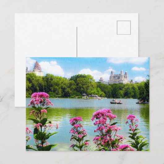 SUNDAY IN CENTRAL PARK Carte postale (Devant / Derrière)