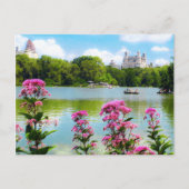 SUNDAY IN CENTRAL PARK Carte postale (Devant)