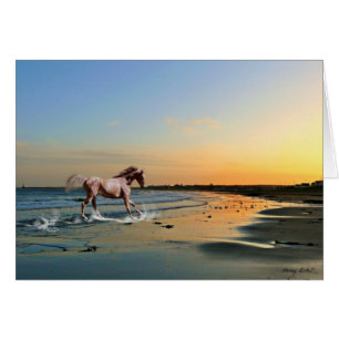 Sunderland - plage de Seaburn