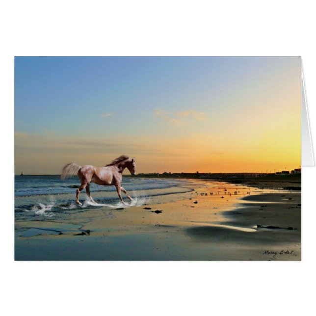 Sunderland - plage de Seaburn (Devant horizontal)