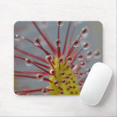 Sundew Carnivorous Plant Mousepad Muismat (Met muis)