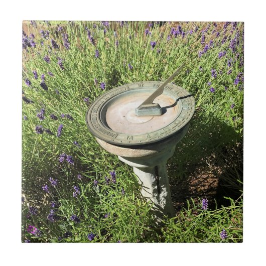 Sundial in Lavender Tegeltje (Voorkant)