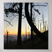 Sundown Silhouette Poster (Voorkant)