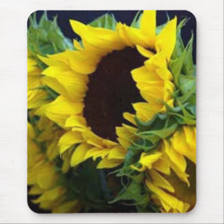 Sunfllower Study by debbieophotography Muismat