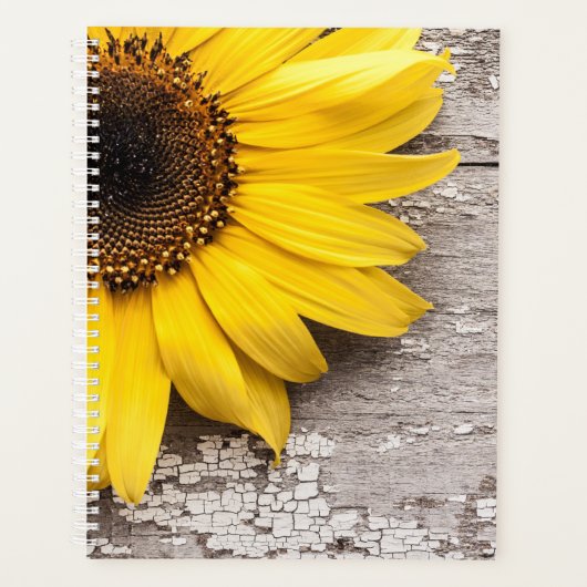 Sunflower (Devant)
