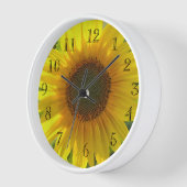 Sunflower Blossom (Hoek)