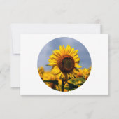 Sunflower Blue Sky Rustic Wedding Cartes RSVP (Dos)