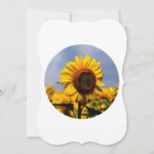 Sunflower Blue Sky Rustic Wedding Invitations Kaart (Achterkant)
