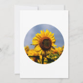 Sunflower Blue Sky Rustic Wedding Invitations Kaart (Achterkant)