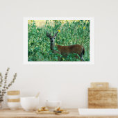 Sunflower Buck Poster (Keuken)