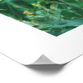 Sunflower Buck Poster (Hoek)