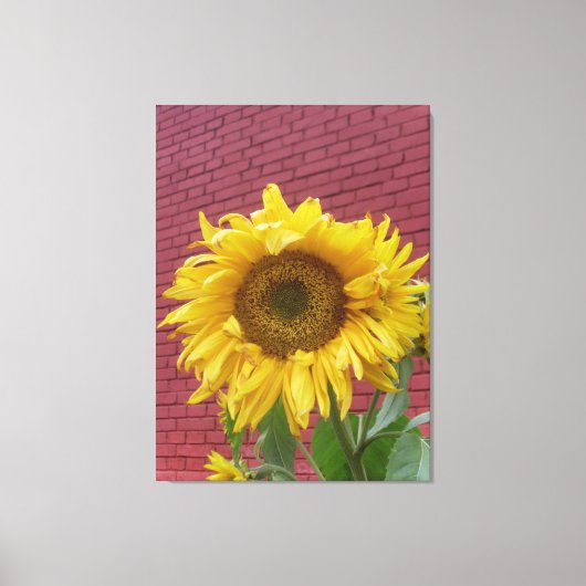 Sunflower Canvas Afdruk (Voorkant)