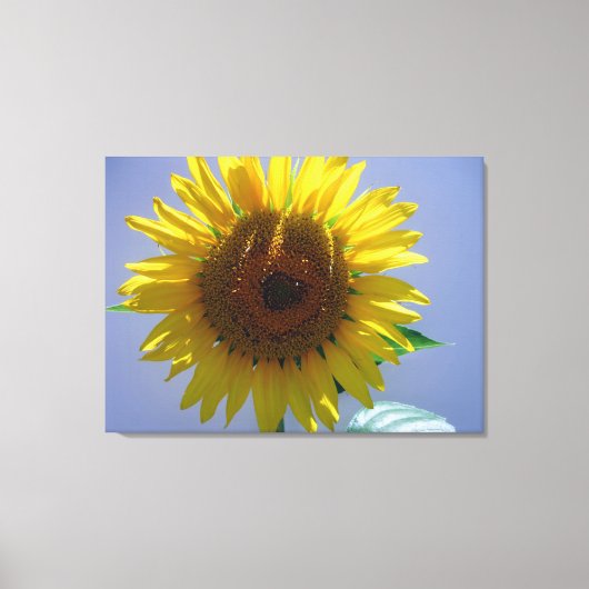 Sunflower Canvas Afdruk (Voorkant)