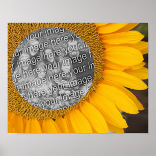 Sunflower Center Lijst Uw foto toevoegen Poster