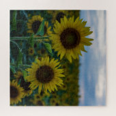 Sunflower Duo Sluiten Legpuzzel (Horizontaal)