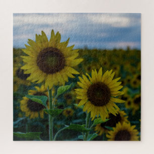 Sunflower Duo Sluiten Legpuzzel
