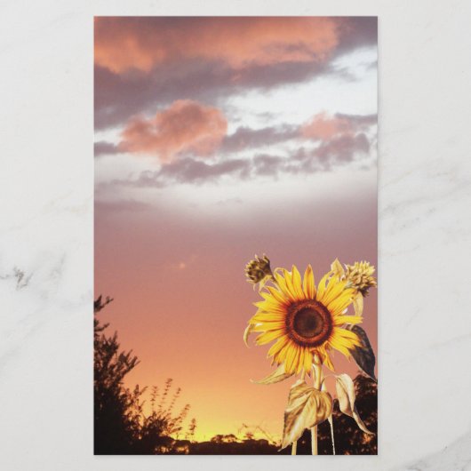 SUNFLOWER EN PINK SUMMER SUNSET BRIEFPAPIER (Voorkant)