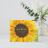Sunflower Enregistrer la date Carte postale (Debout devant)