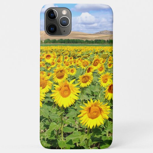 Sunflower field Case-Mate iPhone case (Achterkant)