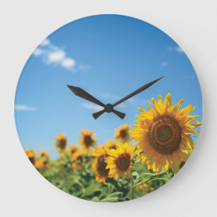 Sunflower field grote klok