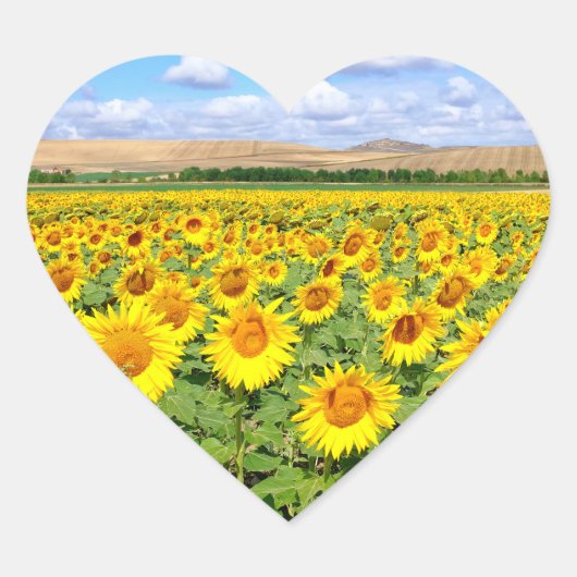 Sunflower field hart sticker (Voorkant)