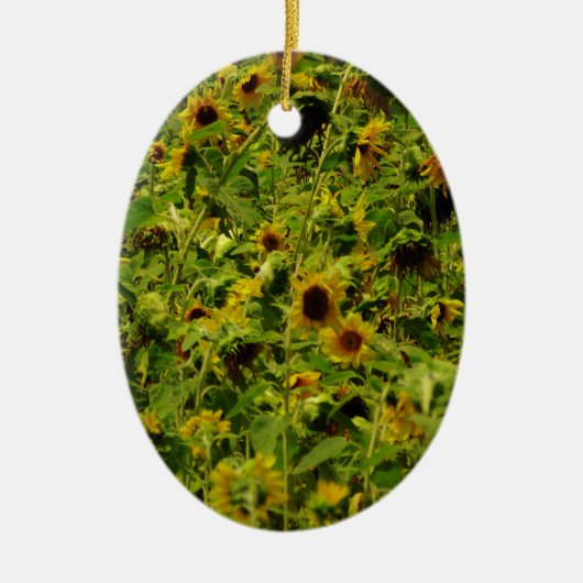 Sunflower field keramisch ornament (Voorkant)