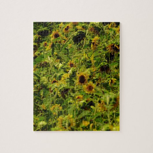 Sunflower field legpuzzel (Verticaal)