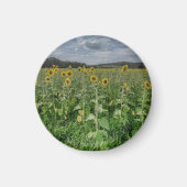 "Sunflower Field" Magnet Magneet (Voorkant)