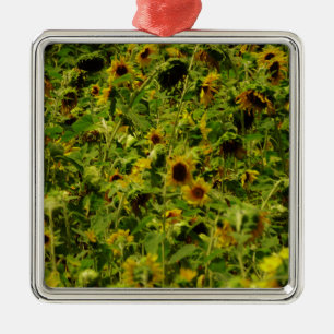 Sunflower field metalen ornament