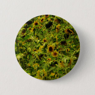 Sunflower field ronde button 5,7 cm