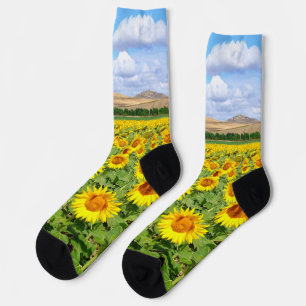 Sunflower field sokken