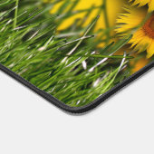 Sunflower Field Sunrise Dawn Sky Green Grass (Coin)