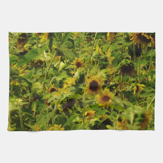 Sunflower field theedoek (Horizontaal)