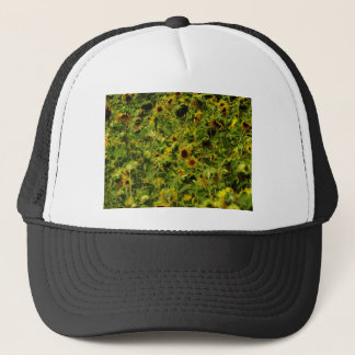 Sunflower field trucker pet