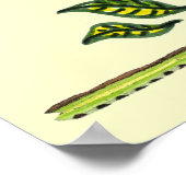 Sunflower Folk Pattern Poster (Hoek)