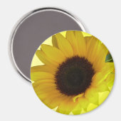 Sunflower Fridge Magnet Cadeau Fleur gaie (Recto/Verso)