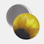 Sunflower Fridge Magnet Cadeaux Jaunes gais (Recto/Verso)