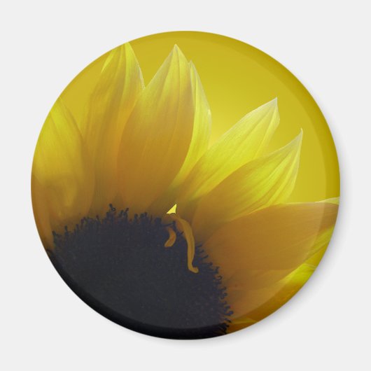 Sunflower Fridge Magnet Cadeaux Jaunes gais (Devant)