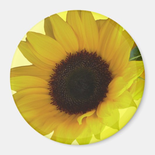 Sunflower Fridge Magnet Cheerful Flower Gift Magneet (Voorkant)